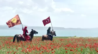 Van Gölü sahilindeki gelincik tarlaları doğal fotoğraf stüdyosuna dönüştü