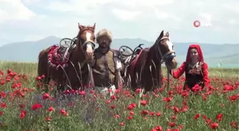 Van Gölü sahilindeki gelincik tarlaları doğal fotoğraf stüdyosuna dönüştü