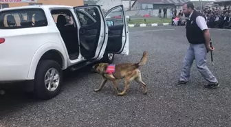 Patlayıcı madde ve bomba uzmanı köpeklerin gösterisi beğeni kazandı