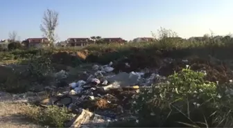 Turizm cenneti Kuşadası'ndaki çöp yığınları vatandaşları isyan ettirdi