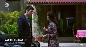 Yaralı Kuşlar 50. Bölüm Fragmanı