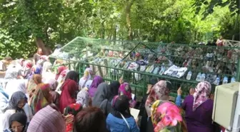 Zuharatbaba türbesinde sınav duası yoğunluğu