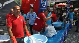 Zıpkınla Balık Avı Türkiye Şampiyonası, Amasra'da başladı (2)