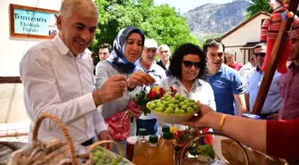 Tamzara ekolojik pazarı yeni sezonu açtı