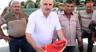 Antalya'da karpuz 30 kuruşa alıcı bulamıyor