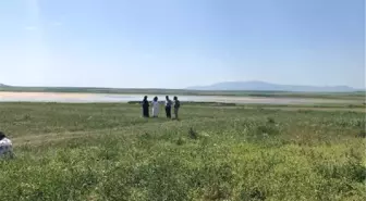 Kuruyan, Kuyucuk Kuş Cenneti'nde Kuş Festivali