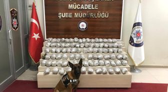 'Zeyna'nın katıldığı operasyonda 90 kilo 720 gram eroin ele geçirildi