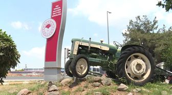 30 yıl önce 'uyutulan' tohumlar toprakla buluştu