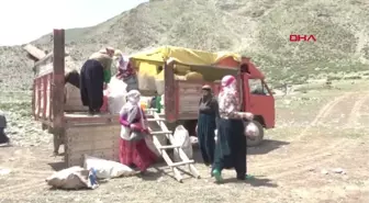 HAKKARİ Üniversite mezunu genç 1500 koyuna çobanlık yapıyor