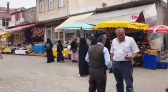 ORDU ARAPLAR YATIRIM AMAÇLI FINDIK BAHÇESİ SATIN ALIYOR