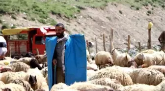 Üniversite mezunu genç 1500 koyuna çobanlık yapıyor