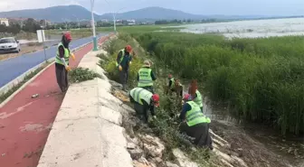 Beyşehir Belediyesinden göl kıyılarında yabani ot mesaisi