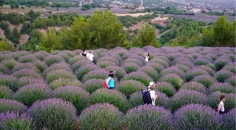 Isparta'da Lavanta Günleri hazırlık toplantısı