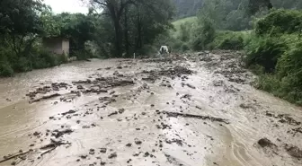 Bartın'daki sağanak