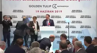 'İstanbul sadece bizim İstanbul'umuz değildir' (1)