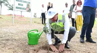 Muazzez İlmiye Çığ için 105 meşe fidanı dikildi