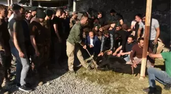 Hakkari'de şehitler için kurban kesildi