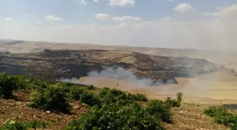 Mardin'de bin dönümlük ağaçlık alan kül oldu