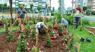 Mersin'de parklar renkleniyor