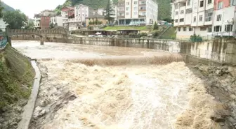 Ordu'da sağanak