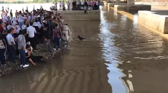 Akıntıya kapılan karpuzun peşinden giden iki kardeş suda kayboldu