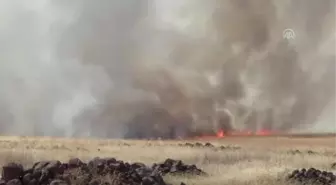 Bin dönümlük ekili tarlada yangın