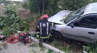 Refüje uçan otomobil ağaçları yerinden söktü: 1 yaralı