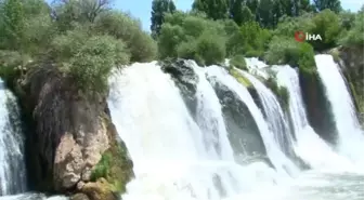 Muradiye Şelalesi'ne ziyaretçi yoğunluğu