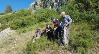 Uçurum kenarında 6 gündür mahsur kalan 2 keçi kurtarıldı