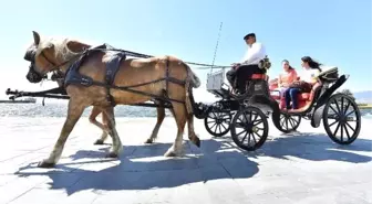 İzmir'de fayton dönemi kapandı