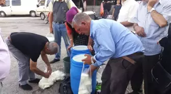 (Özel) Tamamen doğal peynir, iki saatte tükeniyor