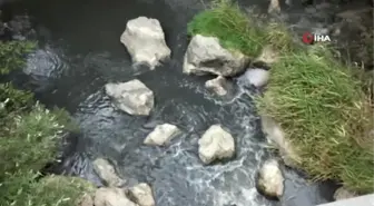 Burhaniye'de yazlıkçılar dere kirliliğine tepki için yol kapattı