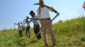 İmece usulü ile ot biçiyorlar