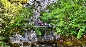 Öğretmenler, doğa harikası Çatak Kanyonunda 7 kilometre yürüdü