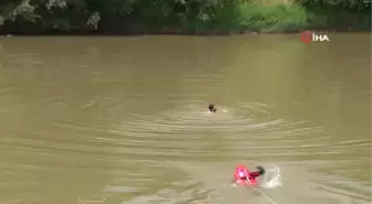 Sakarya Nehri'ne düşen vatandaşların kurtarılma anları nefes kesti