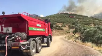 Tire'de makilik yangını