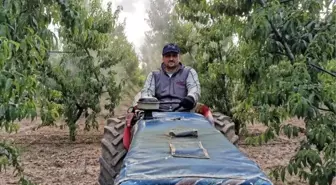 Belediye Başkanı, mesai sonrası tarlasında çalışıyor