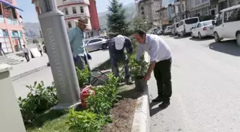 Hakkari Belediyesinden yeşillendirme çalışması