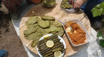 Japonlar Tokat yaprağı yiyecek