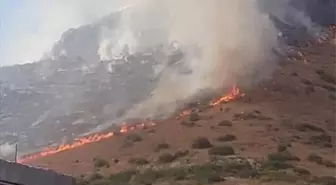 Adana'da orman yangını