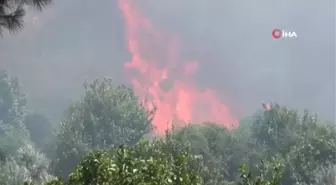Silifke'de orman yangını yüzünden bazı evler boşaltıldı, yollar trafiğe kapatıldı