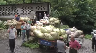 Çaykur Genel Müdür Vekili Alim: 'Çayımıza sahip çıkmak zorundayız'