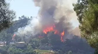 Manavgat'ta orman yangını