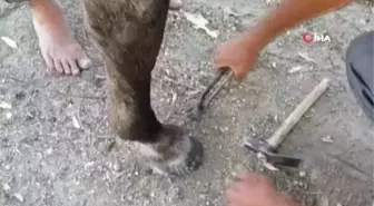 Nalbantlık mesleği tarihe karışıyor