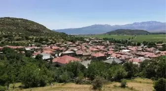 Seydişehir'de bir yayla 'kuduz' nedeniyle karantinaya alındı