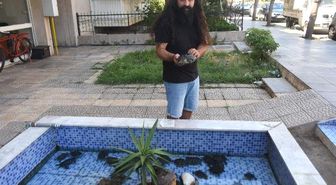 Süs havuzu bırakılan su kaplumbağaları ile doldu