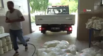 Yaylada üretilen peynirler İstanbul sofralarını süslüyor