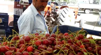 Belediye başkanlarından vişne fiyatına tepki