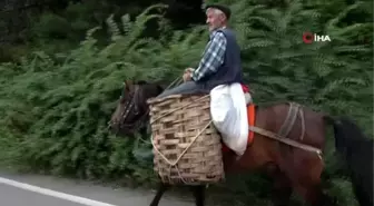 82'lik dededen atlı organik sebze servisi