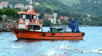 Perşembe'de 'kültür ve sanat' festivali